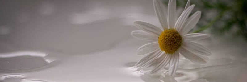 MargaMingo's profile banner image