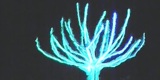 LCalveri's profile banner image