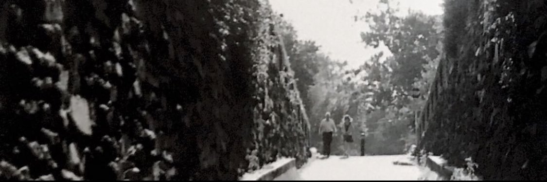 P_Roman3's profile banner image