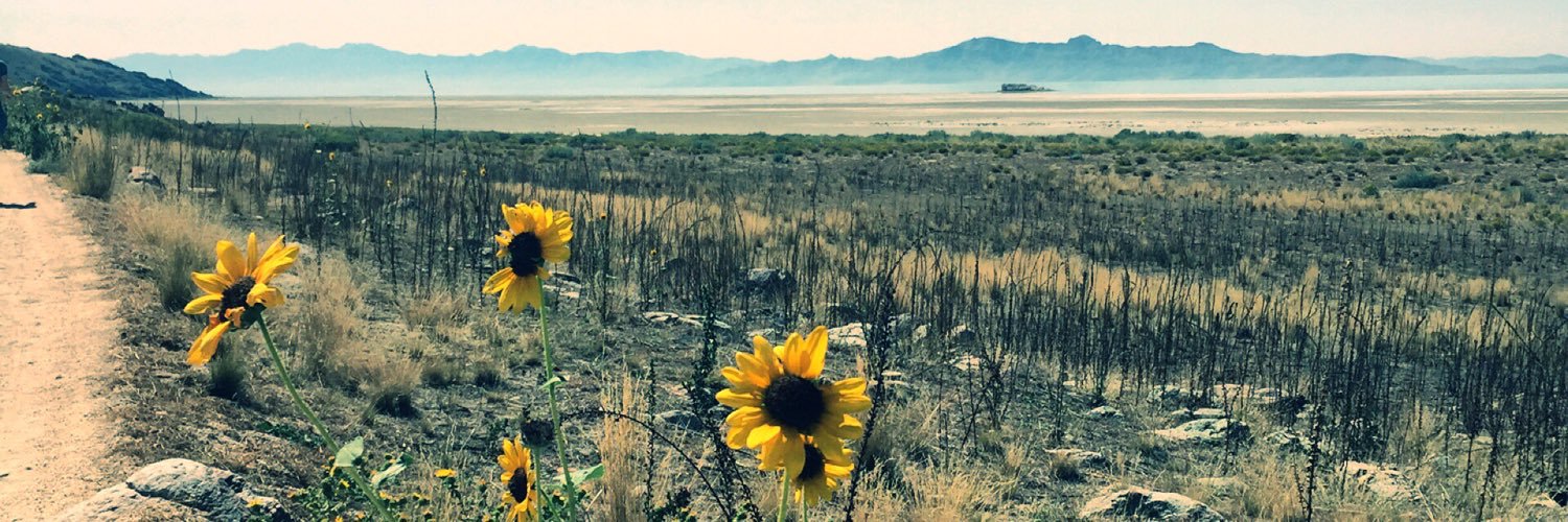 stephmauie's profile banner image