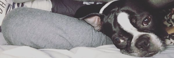 NARDiesel Profile Banner