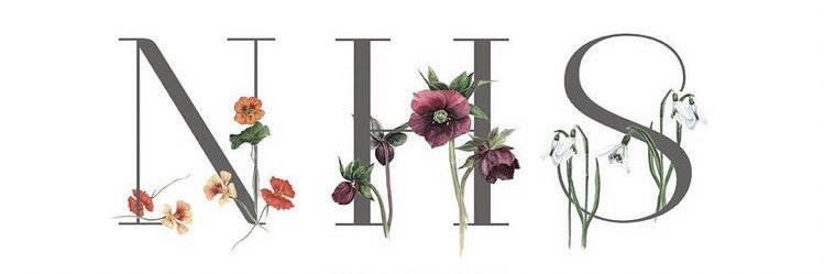 HollyFricker's profile banner image