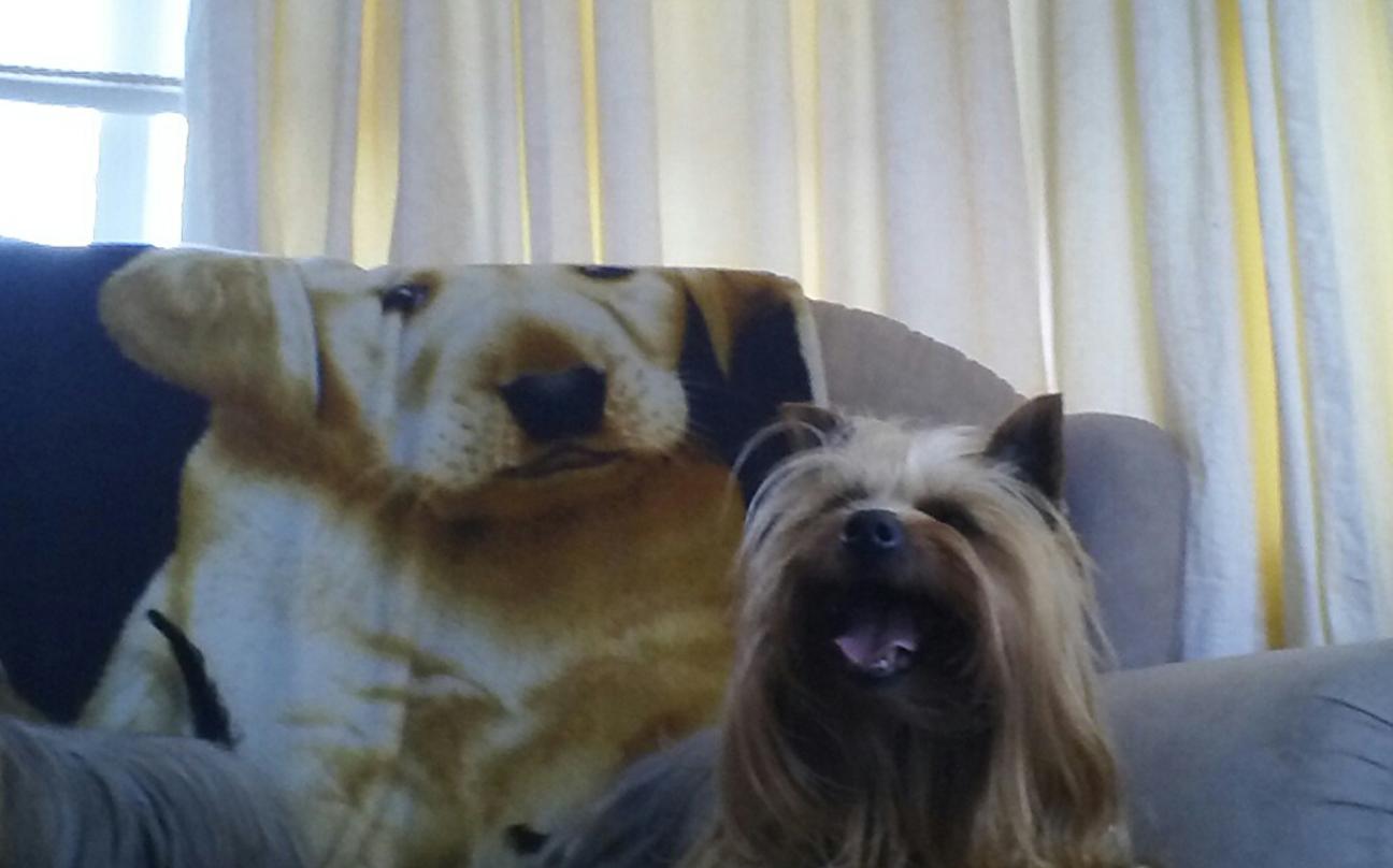 Camgart's profile banner image