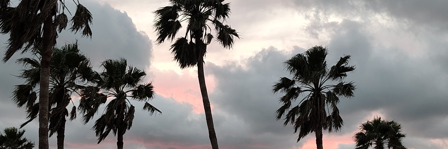 ProfPieHunter | Pokemon Go | Valor Level 7️⃣1️⃣ banner