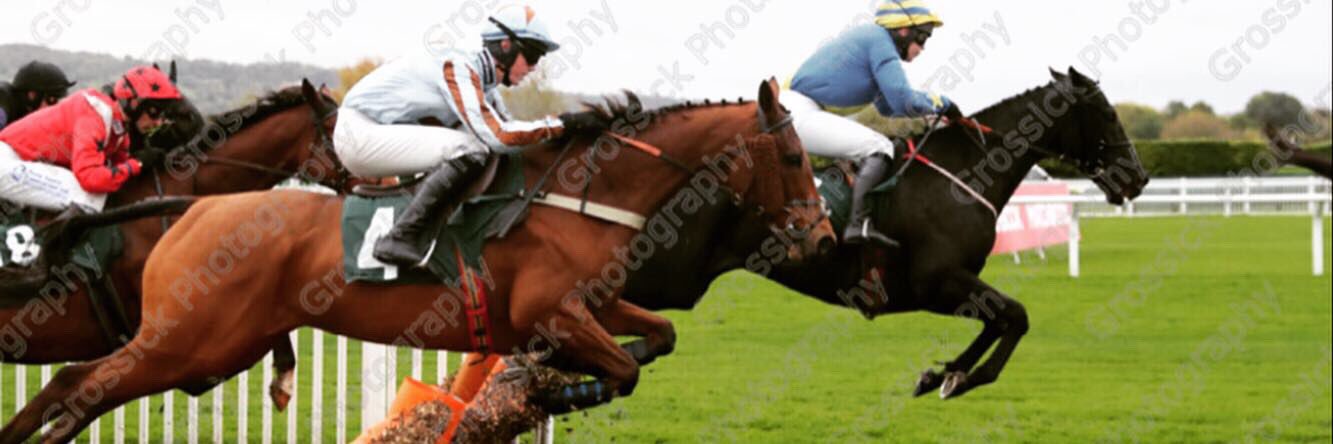 cillin leonard banner