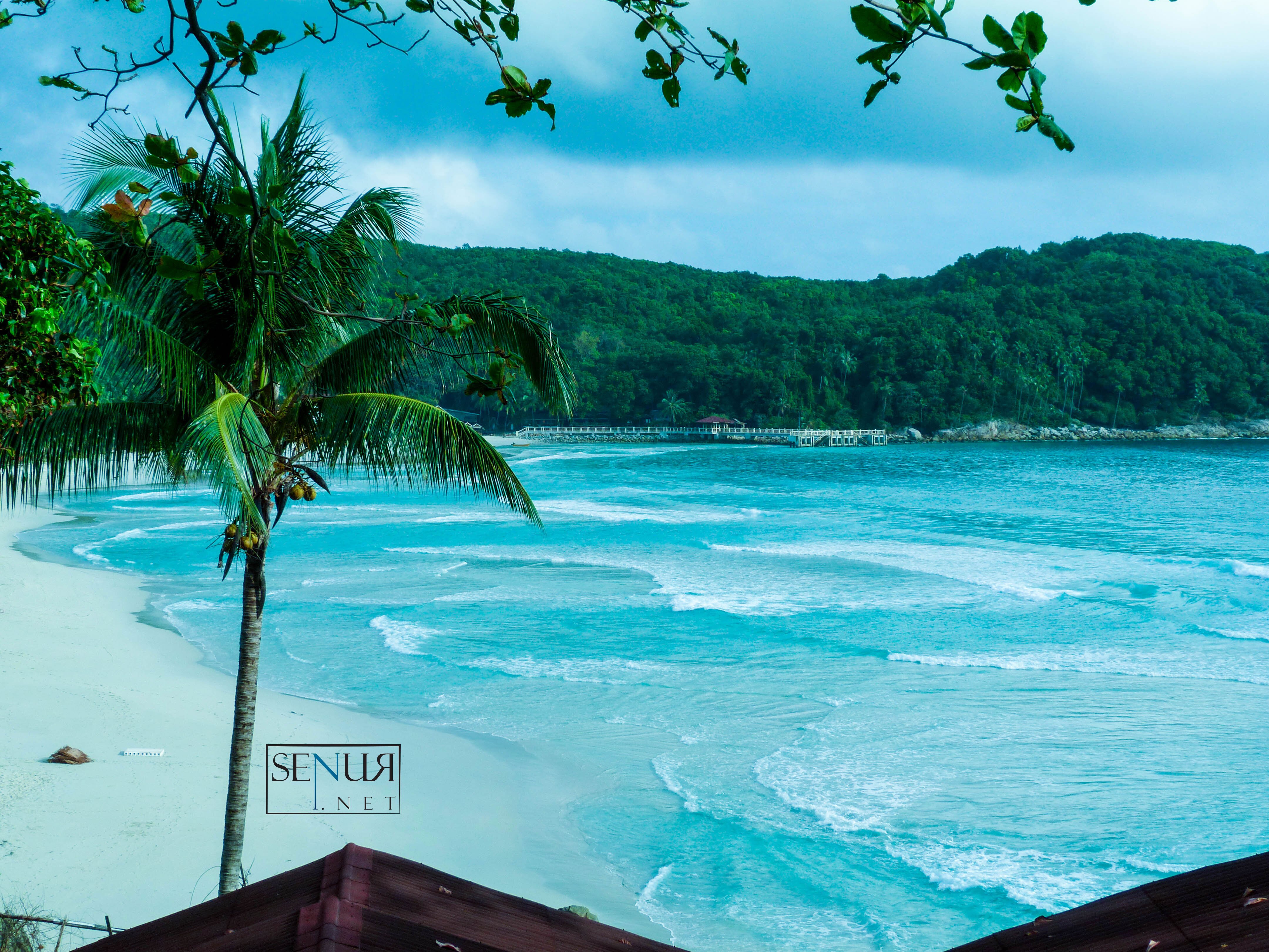 senur's profile banner image
