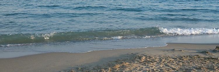 amy_lanexx's profile banner image