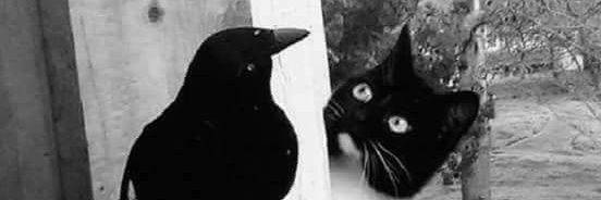 M_Blbn's profile banner image