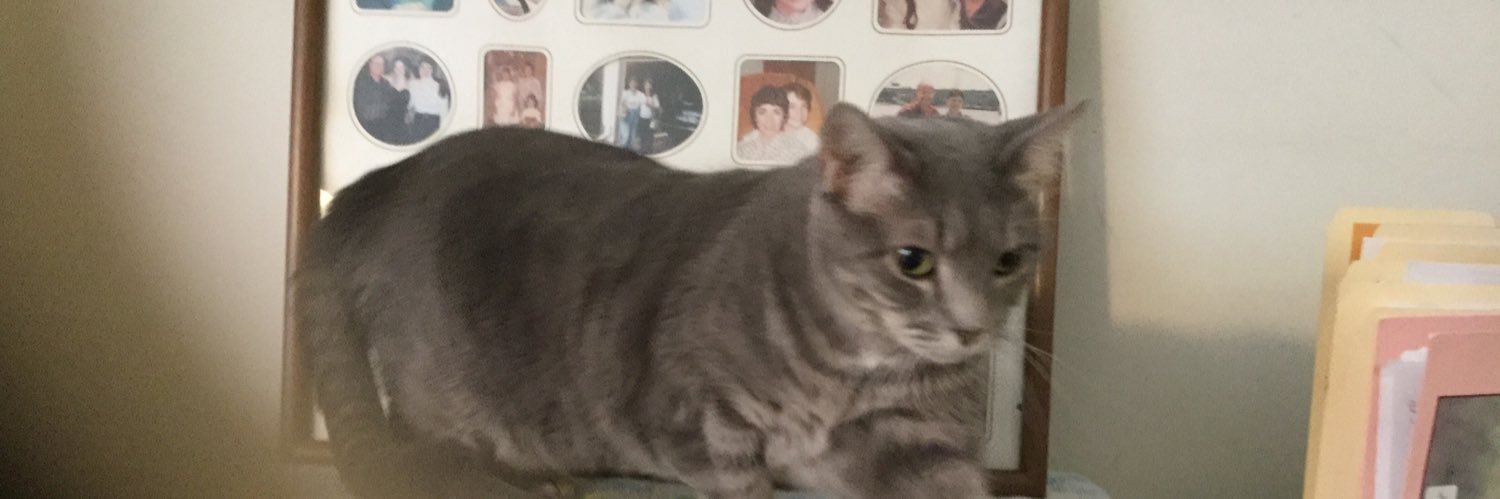 dimplelover's profile banner image