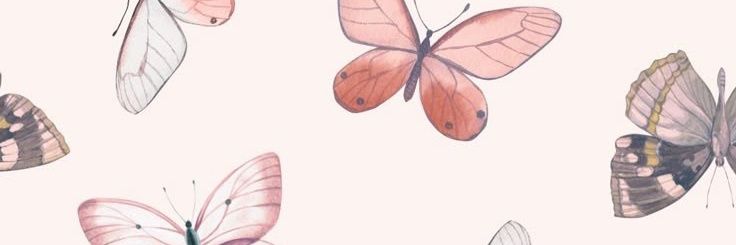 maria constanza banner