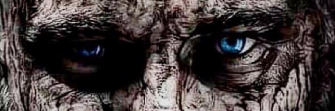 _ImZiggyS's profile banner image