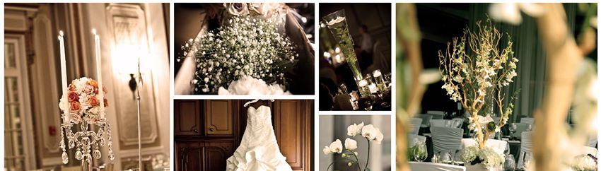eventsbymy's profile banner image