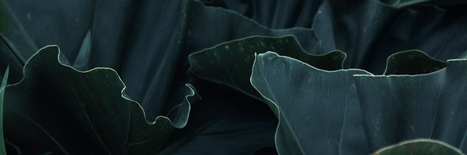 konflictive_'s profile banner image