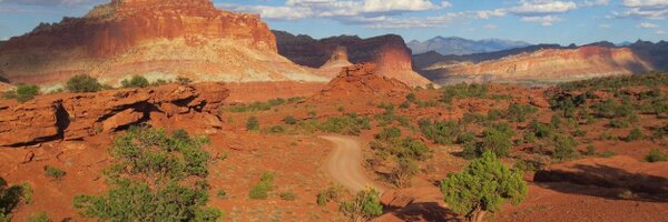 SamTheDogTrainr Profile Banner