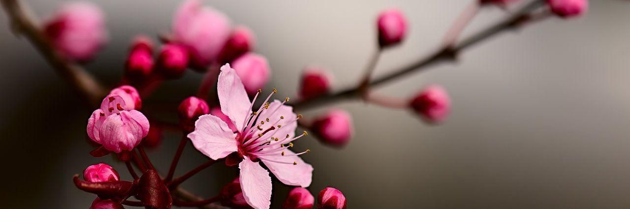 Om_Badra's profile banner image