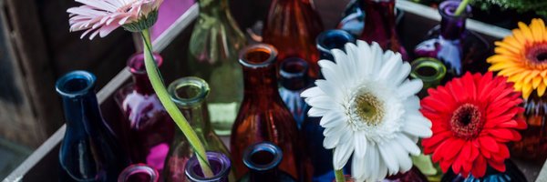 TeresaMaraver Profile Banner