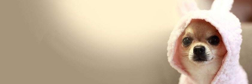 BrittneyDeRae's profile banner image