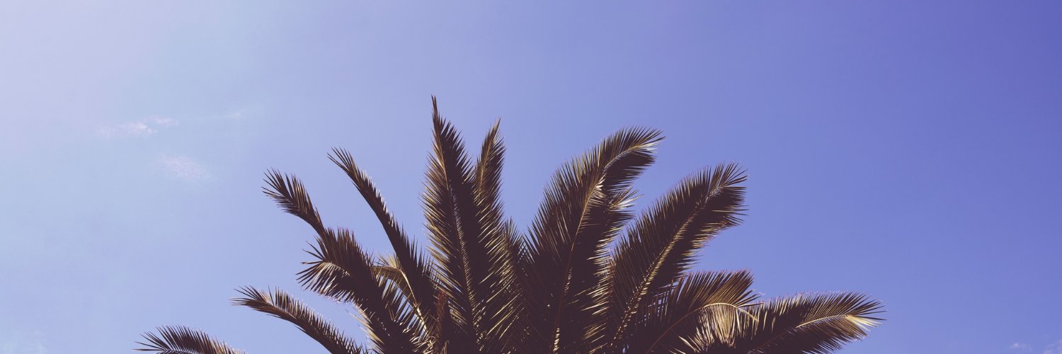 Sebahml's profile banner image