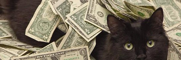 rexrayy Profile Banner