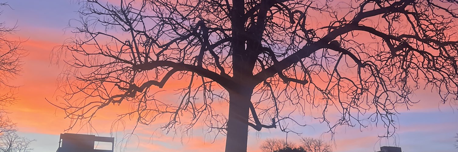 AyeePalacio's profile banner image