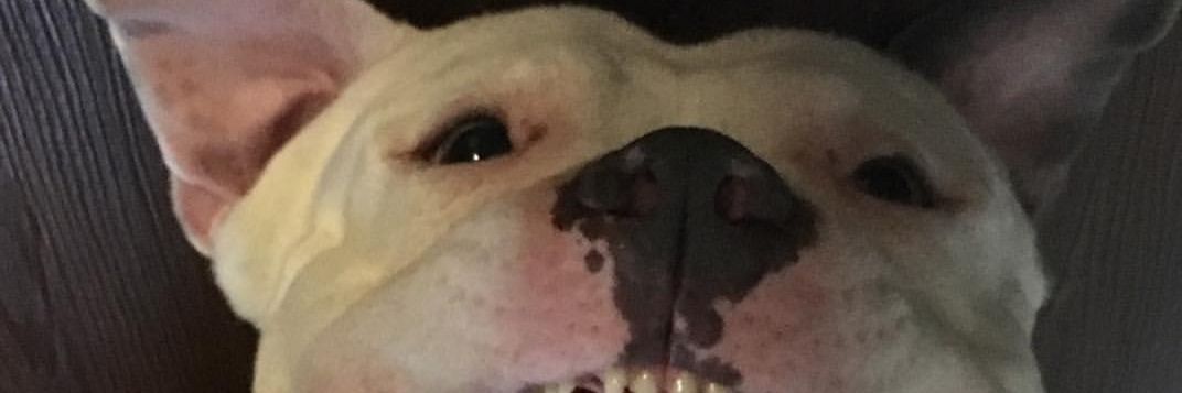 swag_net0's profile banner image
