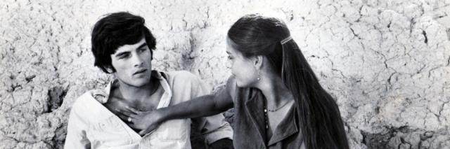 laura vilamor banner