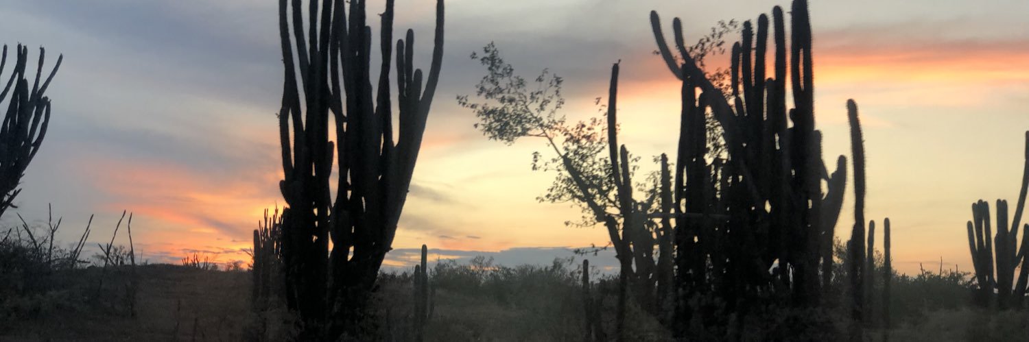 flavillarreal's profile banner image