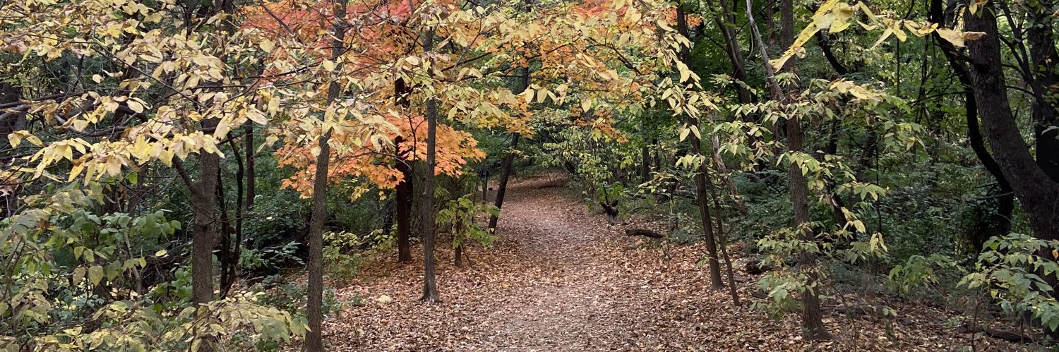 David Kronig @davekronig.bsky.social banner