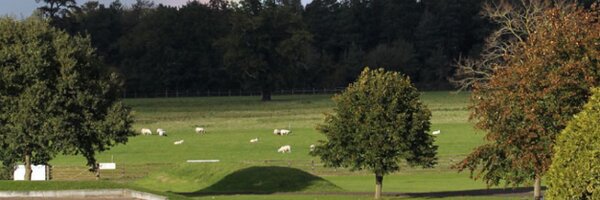 AddingtonManorE Profile Banner