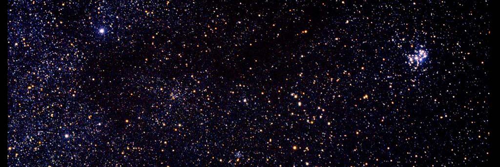 nicolettespaige's profile banner image