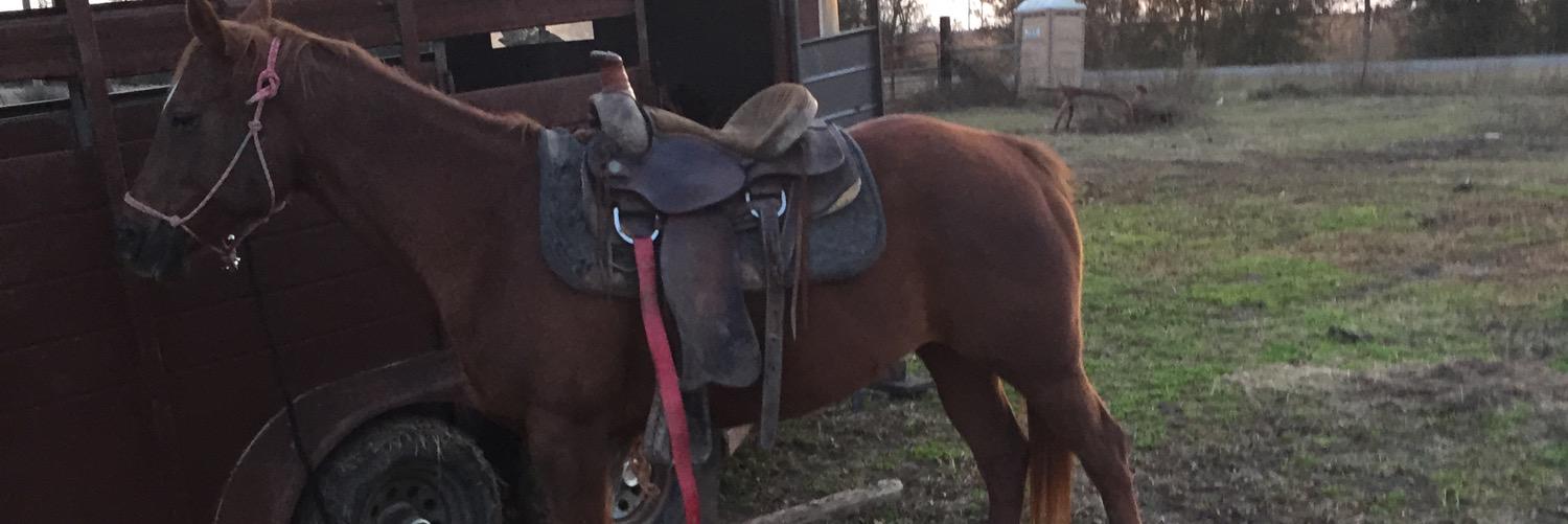 djhall94's profile banner image