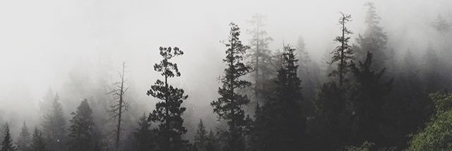 glick_josh's profile banner image
