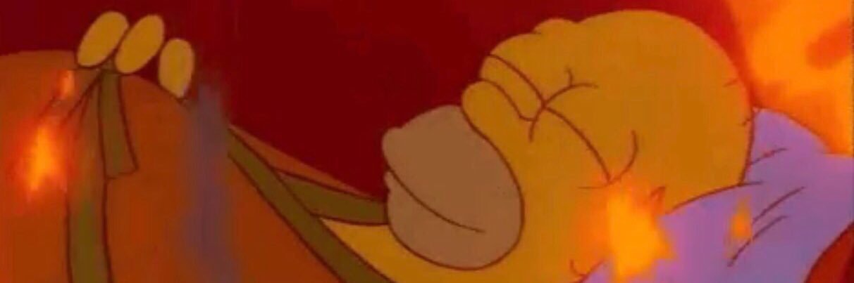 big stupid idiot banner