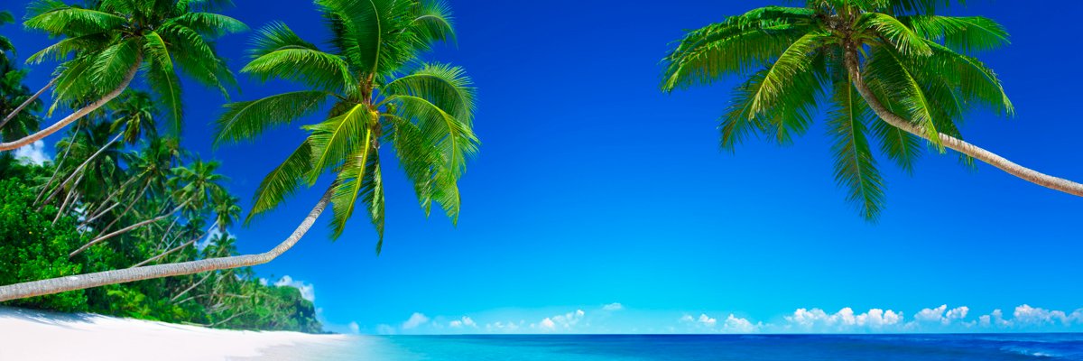jungakim1's profile banner image