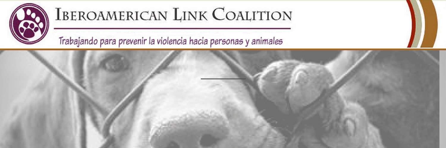 IberoALink's profile banner image