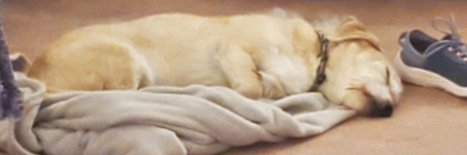 jscanlon57's profile banner image