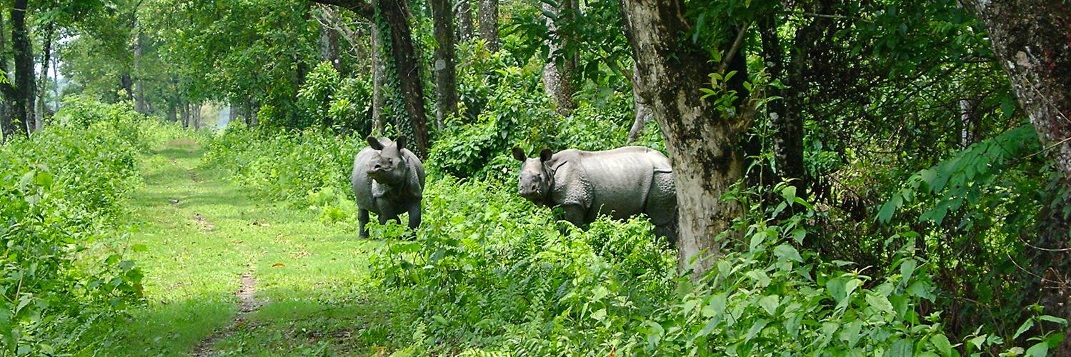 Lakshmikant Dubey ( লক্ষ্মীকান্ত দুবে) banner