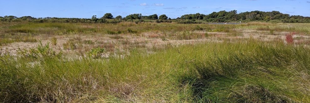 Rhode Island CRMC banner