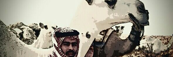 bqbb1's profile banner image
