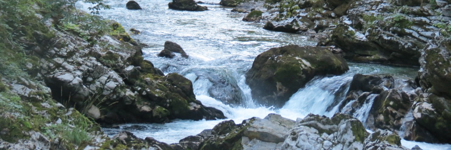 LorenzoSandri's profile banner image
