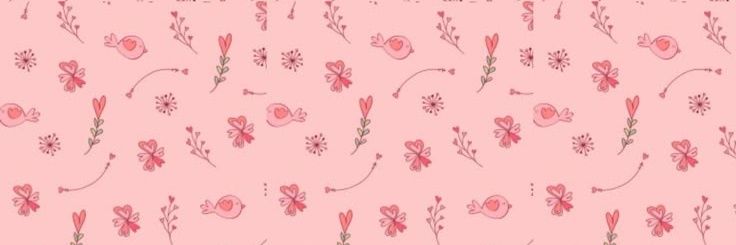 Birdsoul 💛🩷💜 banner