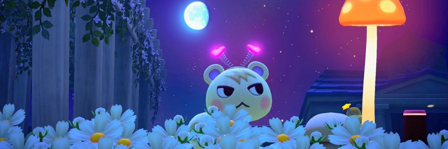 Biirdsoul's profile banner image
