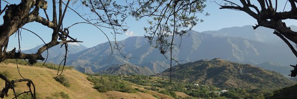 MarcelaShine Profile Banner