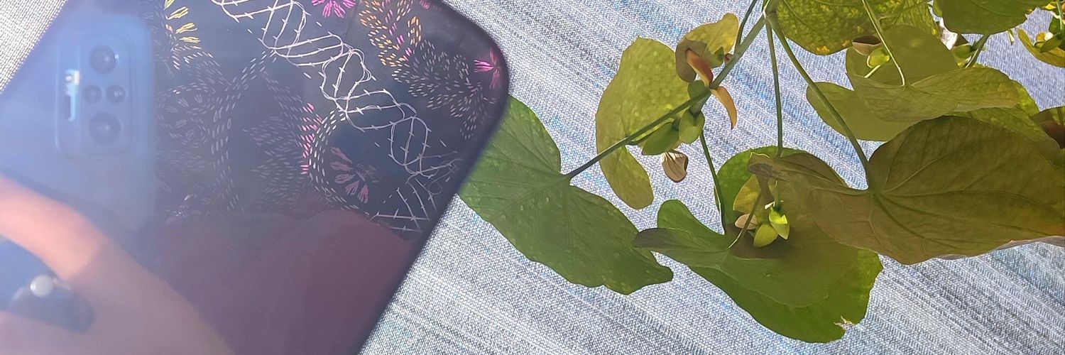 brandonwpi's profile banner image