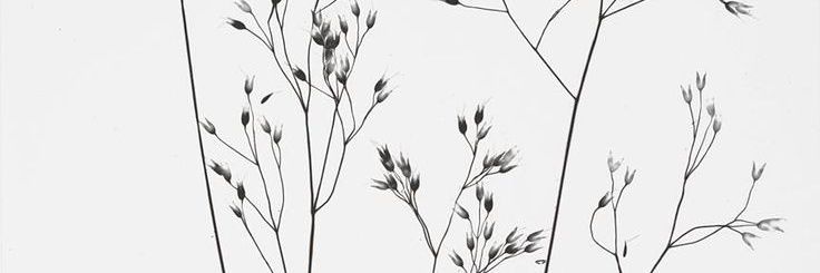 VValenpe's profile banner image