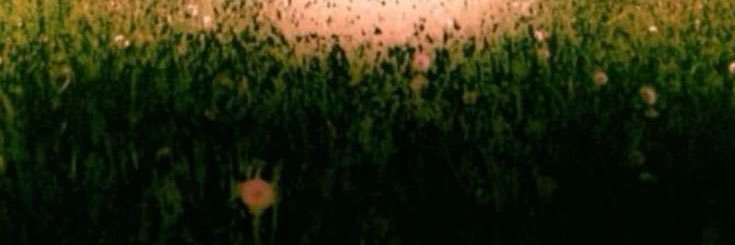 s0f1so's profile banner image