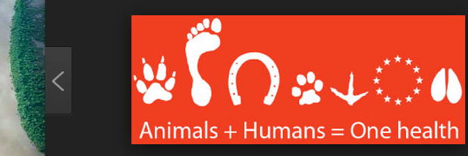 socivesc's profile banner image