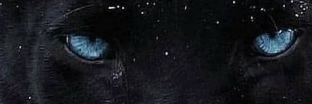 blntks78's profile banner image