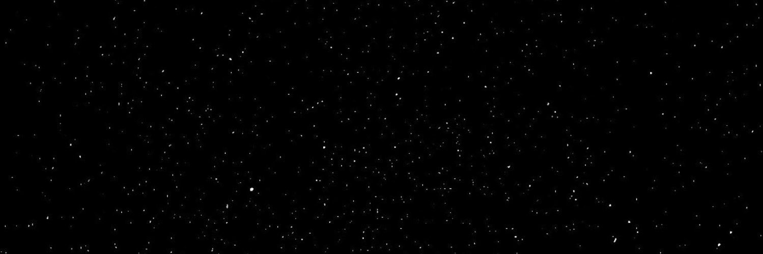leotypa's profile banner image
