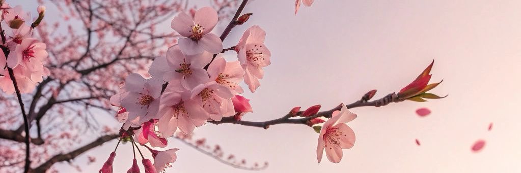 byeolbit01's profile banner image